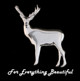 Sterling Silver Brooches