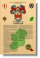 Coat of Arm Histories