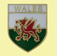 Welsh Lapel Pins