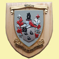 Custom Coat Of Arms Family Crest Hand Painted 7 x 6 Wooden Wall Plaque 