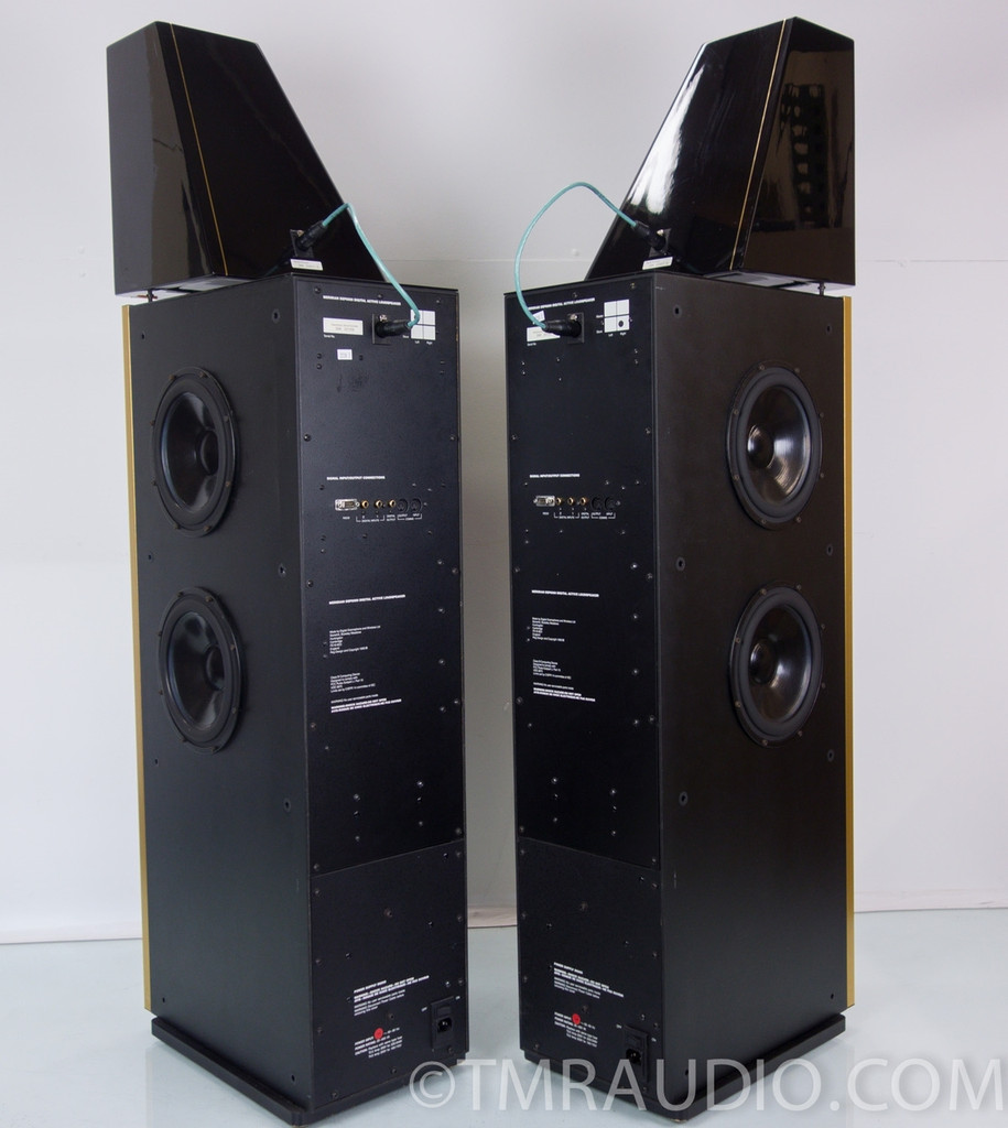 Meridian DSP6000 Floorstanding Speakers; Stunning Pair of Speakers The Music Room