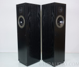 Snell Type E IV Vintage Floorstanding Speakers