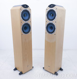 Tannoy Eyris DC3 Floorstanding Speakers; Pair - The Music Room