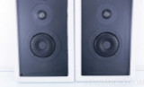 Infinity FPS1000 Flat-panel On Wall Speakers; Pair 1