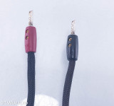 AudioQuest Gibraltar Bi-wire Speaker Cables; 2m Pair