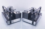 VTL De Luxe 300 Mono Tube Amplifiers; Pair; Deluxe