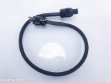 Audience Power Chord E Power Cable; 3ft AC Cord (SOLD)