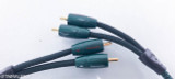 AudioQuest Evergreen RCA Cables; .6m Pair Interconnects (SOLD)