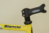 Bianchi Bike Frame