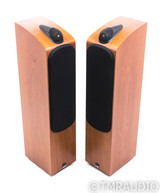 B&W 704 Floorstanding Speakers; Cherrywood Pair (SOLD)