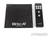 Rega Brio-R Stereo Integrated Amplifier; Remote; MM Phono (1/1)