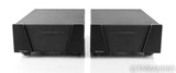 Wyred 4 Sound SX-1000 Mono Power Amplifier; SX1000; Pair