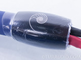 Cardas Audio Clear Light Speaker Cables; 10ft Pair
