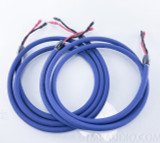 Cardas Audio Clear Light Speaker Cables; 10ft Pair
