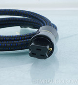 Custom Audioquest NRG-4 20 Amp Power Cable; 6' AC Cord