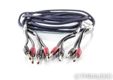 AudioQuest Type 4 Speaker Cables; 10ft Pair (SOLD3)