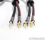 Transparent Audio Plus Speaker Cables; Gen 5; 12ft Pair (SOLD)