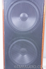 Canton Ergo Pass IV Speakers; Gorgeous Floorstanding Speaker Pair