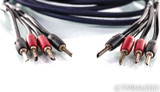 AudioQuest Type 4 Speaker Cables; 10ft Pair (SOLD4)