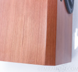 Dynaudio Focus 200C Center Channel Speaker; 200 C