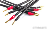 Synergistic Research Element Tungsten Speaker Cables; 12ft Pair