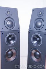 Genesis VI Speakers Floorstanding Speakers; Excellent Working Pair