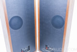 Infinity QLS-2 Vintage Speakers; Quantum Line Source; Restored