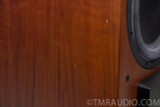 Aerial Acoustics SW-12 Powered Subwoofer; Rose Walnut SW12
