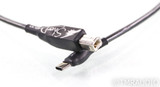 Moon Audio Silver Dragon USB A to C 3ft For Sale - US Audio Mart Moon Audio Silver Dragon USB A to C 3ft For Sale - US Audio Mart