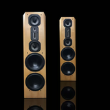 Legacy Audio Focus SE Floorstanding Speakers; Pair