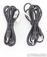 Red Dragon Audio M500 MkII Mono Power Amplifier; M-500 Mk2; Black Pair