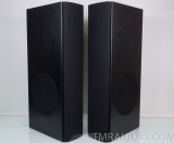 Klipsch RP-5 Floorstanding Speakers w/ 12 inch Powered Subwoofers