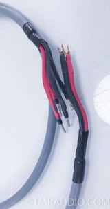 AudioQuest Crystal 2 Hyperlitz Bi-Wire Speaker Cables; 3m Pair