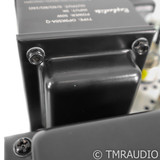 Raphaelite Classic-CSM45 845 Mono Tube Power Amplifier; Pair