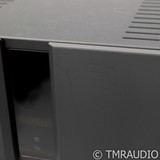 Vitus RS-101 Stereo Power Amplifier (1/1)