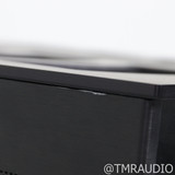 Theta Digital Citadel 1.5 Monoblock Power Amplifiers; Pair