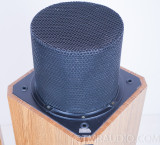 Ohm Walsh FRS 11 Speakers; Pair