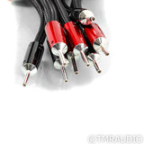 AudioQuest Dragon BASS Speaker Cables; 4ft Pair