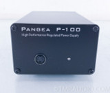 Pangea P-100 High Performance Power Supply