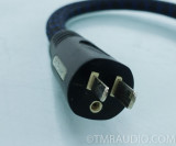 PS Audio Plus SC Power Cord; .5m (missing ground pin)