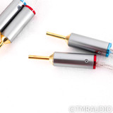 Kinki Studio Earth Speaker Cables; 2.5m Pair