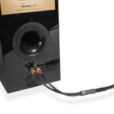 Synergistic Research CTD Carbon Tuning Disks on speaker