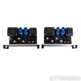 VTL MB-125 Monoblock Tube Power Amplifier; Pair