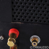 VTL MB-125 Monoblock Tube Power Amplifier; Pair