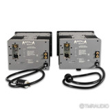 Spread Spectrum Technologies Ampzilla 2000 v2 Monoblock Power Amplifiers; Pair