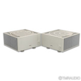Ypsilon Aelius Tube Hybrid Monoblock Power Amplifier; Pair