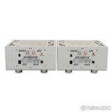 Ypsilon Aelius Tube Hybrid Monoblock Power Amplifier; Pair
