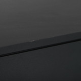 Auralic Altair G1 Network Streamer (1/8)