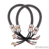 Kimber Kable Select KS3038 Speaker Cables; 4ft Pair