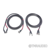 Audience Conductor SE Speaker Cables; 3m Pair